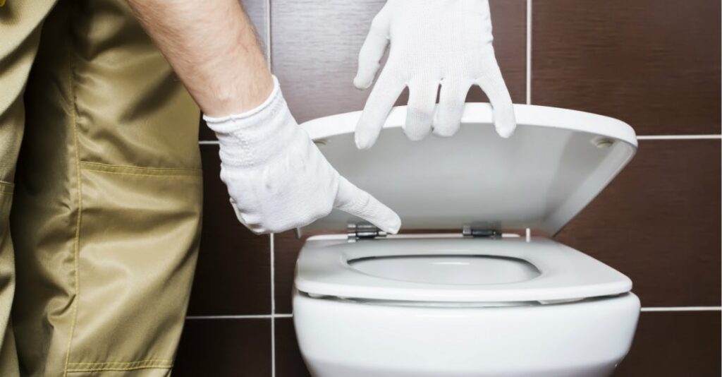How To Fix A Toilet Flush