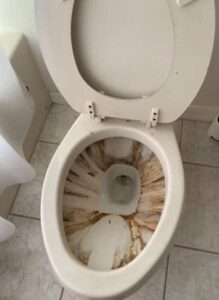 How Hard Water Impacts Your Homes Toilet