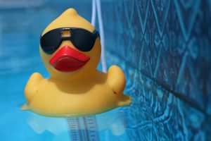 8 Plumbing Myths