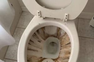How Hard Water Impacts Your Homes Toilet