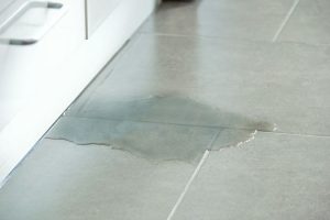 Water Leak