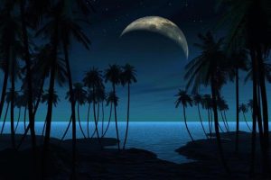 Call Us For Your Nighttime Plumbing Emergencies