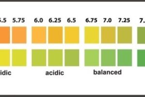 Common Water Issues